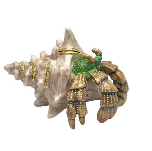 Hermit Crab Trinket Box and Necklace