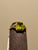 Bassali 14k Peridot & diamond ring