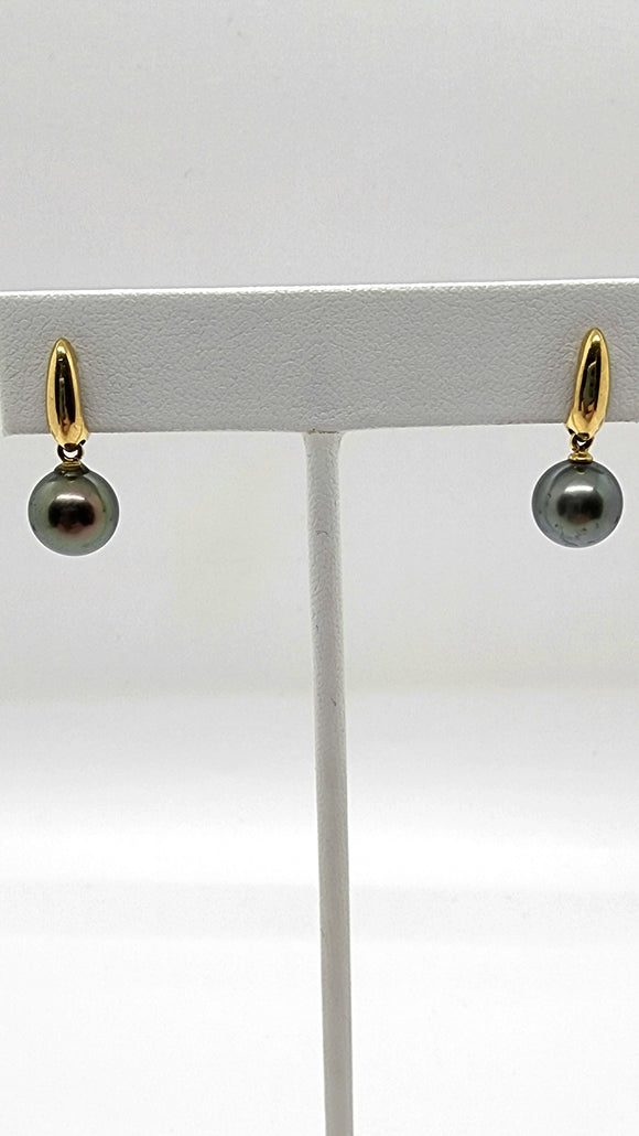 14k 9mm black Tahitian pearl earrings